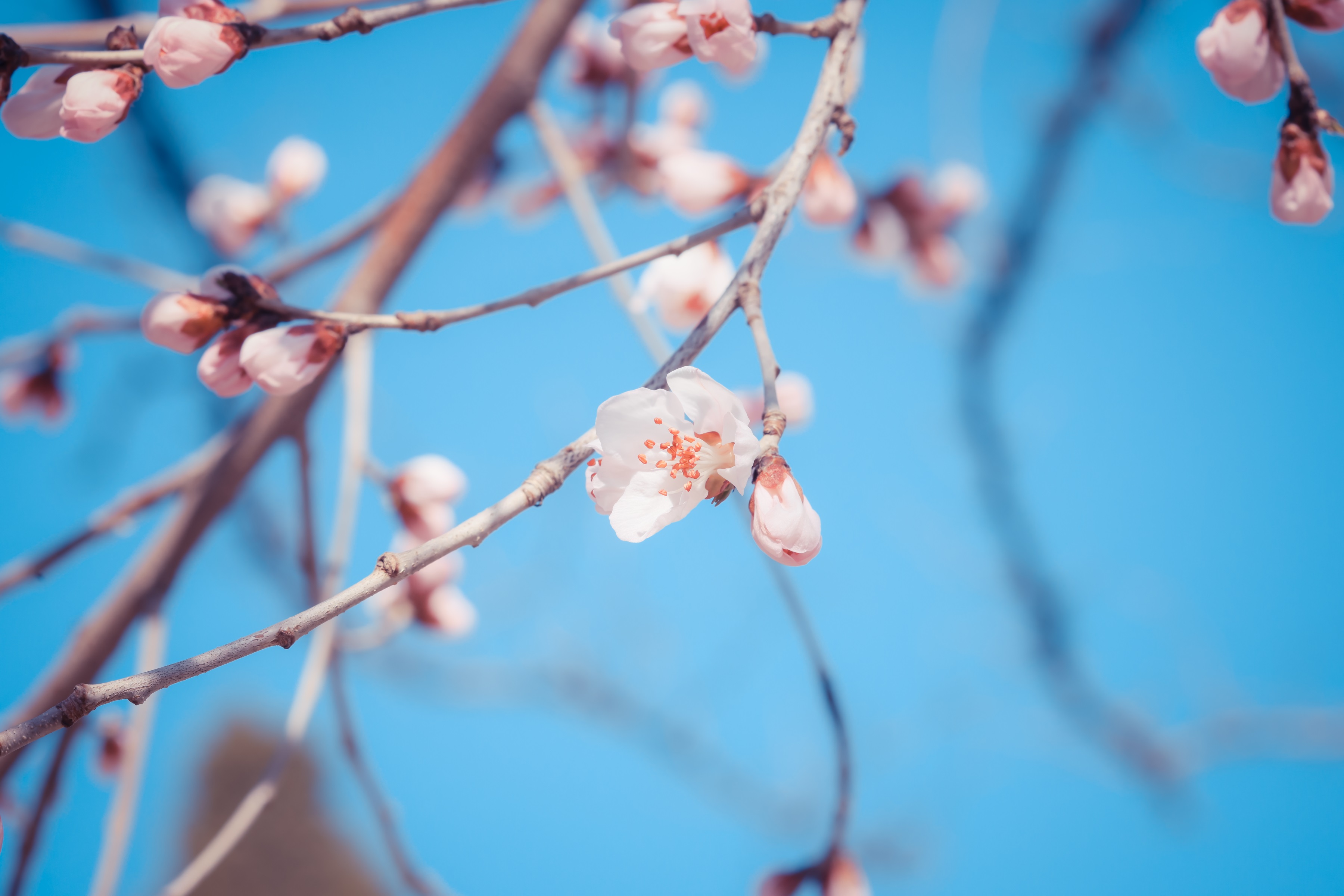 J9国际厅(中国)-官方网站